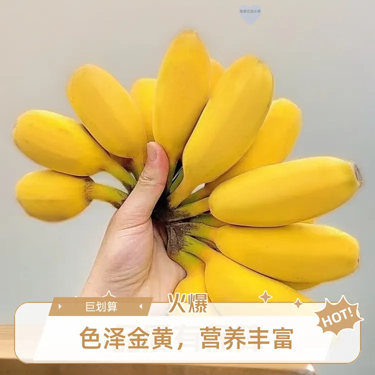 【同款热卖】正宗苹果蕉广东当季新鲜香蕉应季水果孕妇粉蕉整箱批