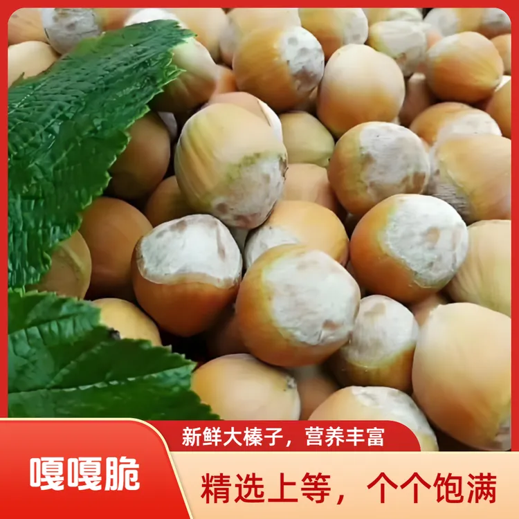 【手工去皮达维榛子】大山中自然成长成熟开原松山鲜榛子（顺丰包邮）