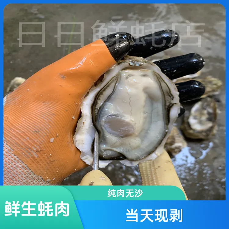 生蚝肉刺身大生蚝肉 大脆蚝纯肉 生蚝当天现剥发中脆蚝肉1斤包邮