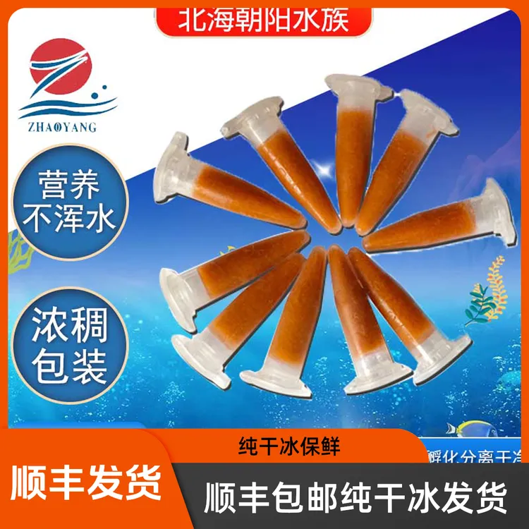 俊泰朝阳免孵化丰年虾大红卵幼虫卤幼孔雀鱼灯科鱼顺丰纯干冰发货