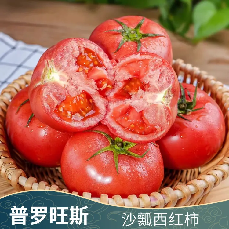 陕西泾阳普罗旺斯水果西红柿自然成熟生吃沙瓤草莓心番茄