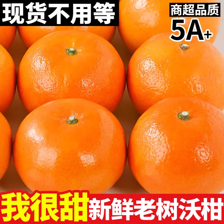 【正宗纯甜】高山沃柑新鲜应季水果桔子现摘批发非丑橘贵妃柑a