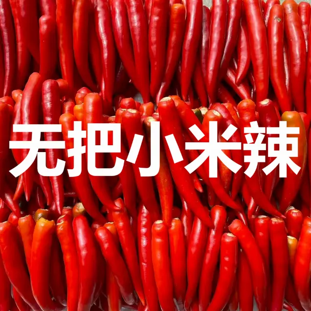 云南新鲜现摘头茬无把特辣小米辣用于餐饮调味的朝天椒