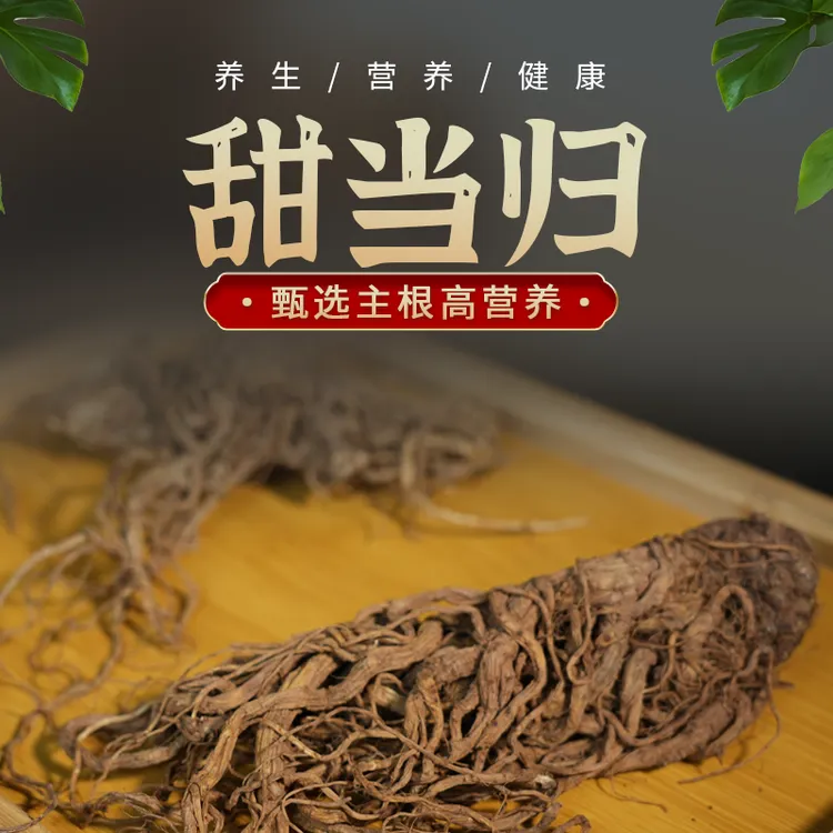 甜当归新鲜无硫现挖现发