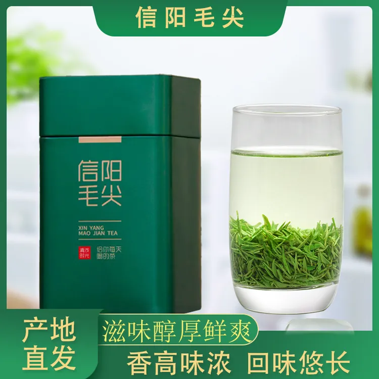 正宗明前浓香型茶叶耐泡高山信阳毛尖新茶绿茶罐装