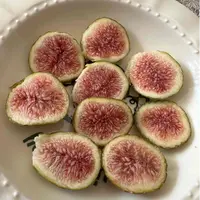 山东芭劳奈无花果大果新鲜现摘现发软糯香甜顺丰包邮55-60克