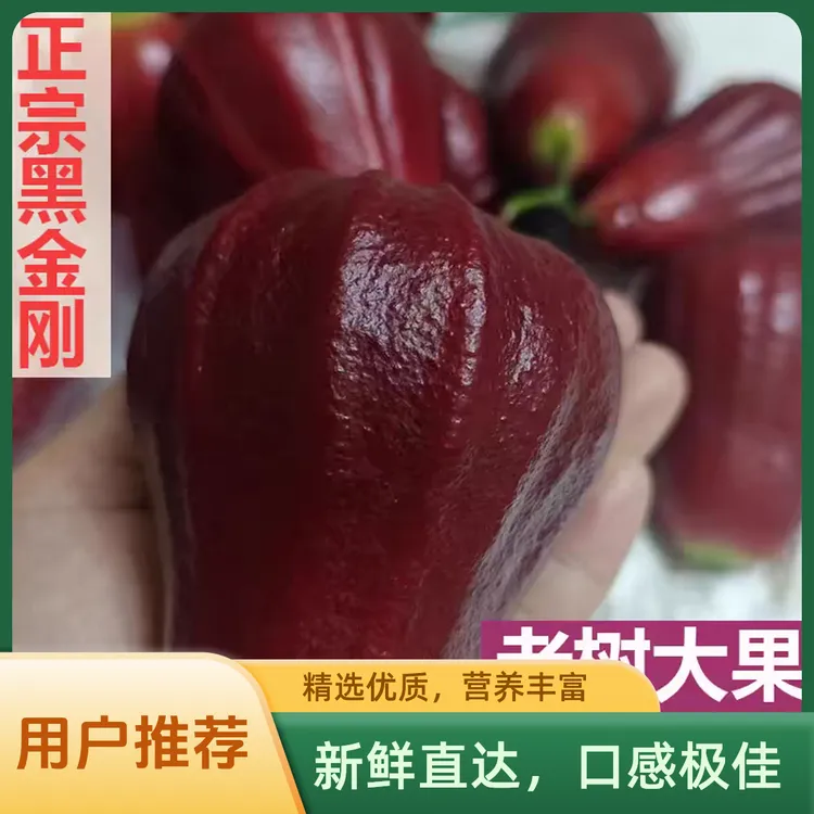 黑金刚莲雾果新鲜5斤孕妇水果礼盒正宗泰国海南三亚莲雾脆甜