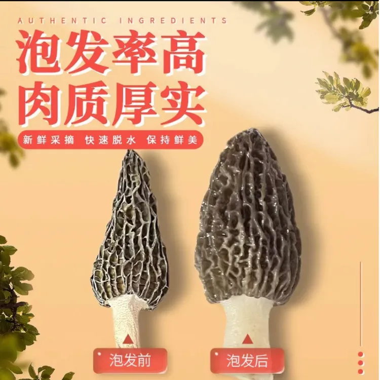 煲汤炖汤营养鲜美干货食材大朵羊肚菌怎么吃营养好产地直供