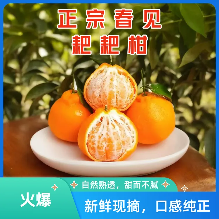 四川春见耙耙柑丑柑颗粒饱满汁水充足新鲜应季水果【坏果包赔】爆汁