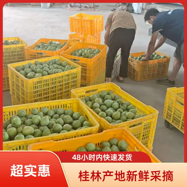 桂林桃形奈李合理酸甜比脆而多汁产地采摘发货3斤5斤都包邮