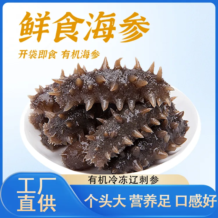 9A大连鲜食海参源头工厂发货蒸制开袋即食顺丰冷链包邮