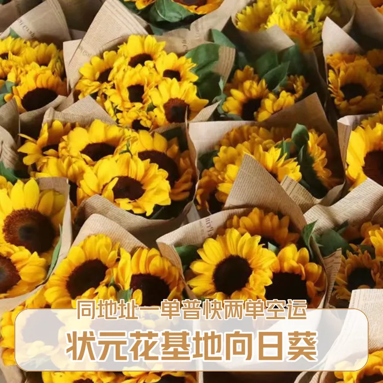 【状元花 向日葵】一举夺魁 云南鲜花 现采现发家庭水养瓶插鲜切花