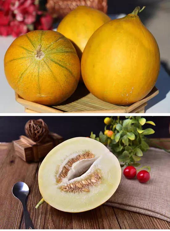 正宗内蒙古磴口铁蛋华莱士蜜瓜香甜多汁现摘产地直发坏果包赔