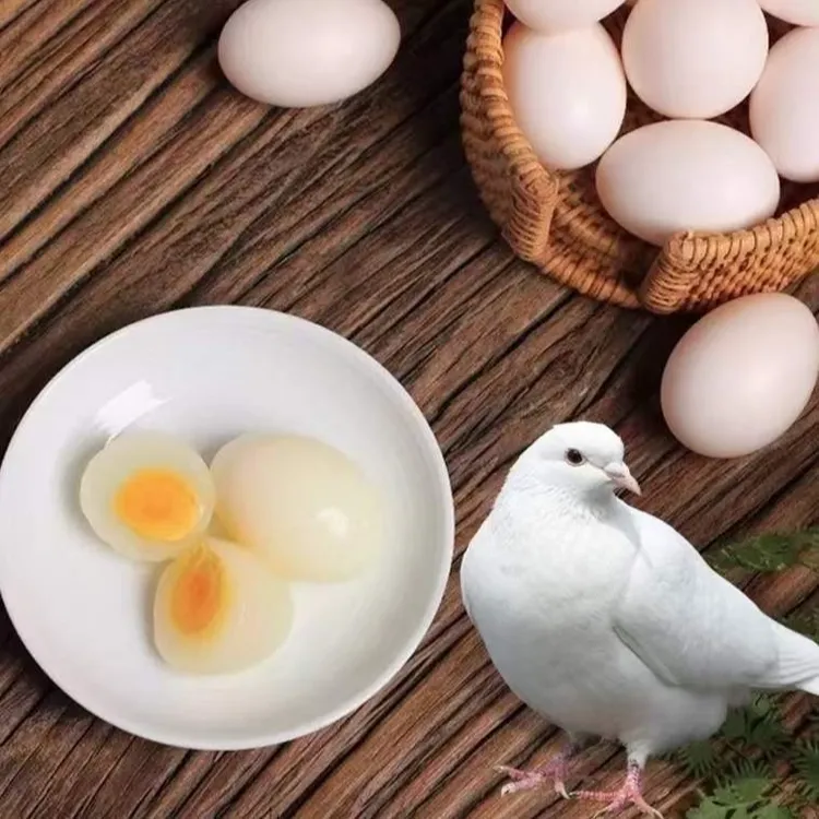 鸽子蛋 30枚 农家直供 无激素无抗生素 营养更健康