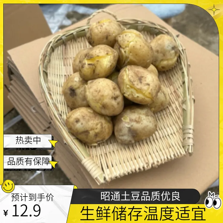 开花土豆巧家高山开花冬瓜洋芋饭的洋芋土豆