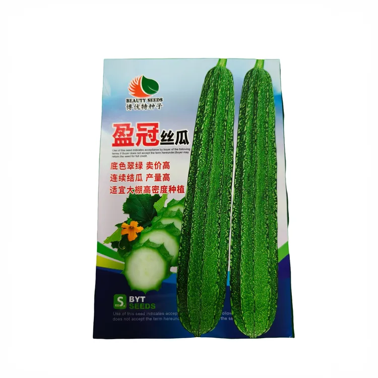 盈冠耐寒大花点丝瓜20几天来瓜瓜长33-40公分节节有瓜65～70粒左右