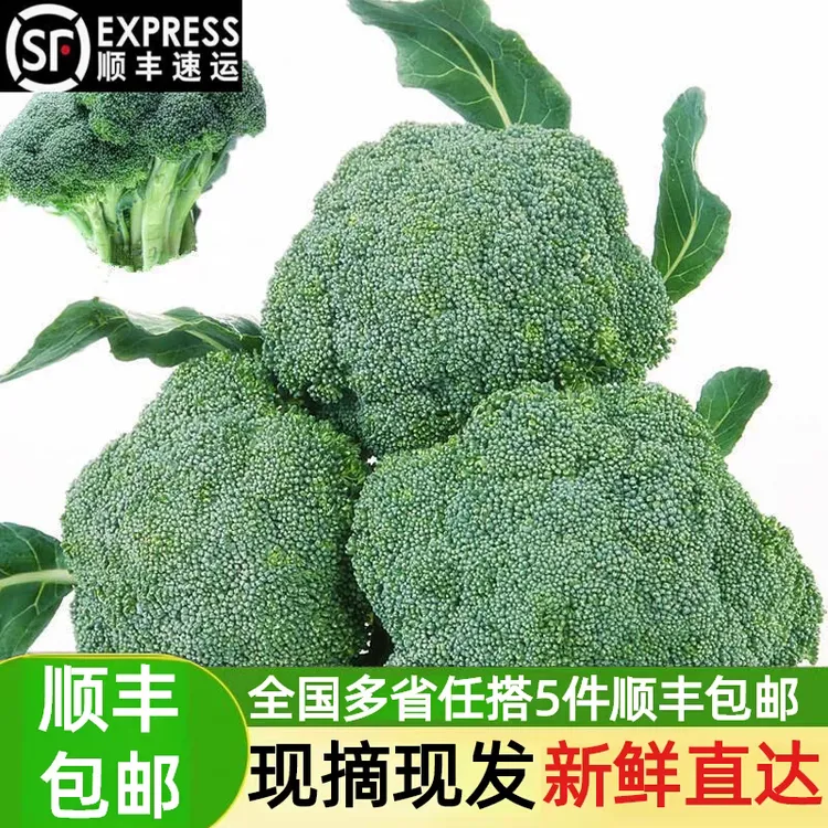 顺丰包邮宁夏新鲜现摘现发西蓝花西兰花青花椰菜菜花高原时令蔬菜