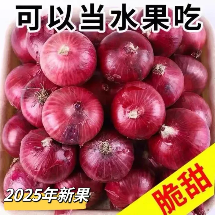 [紫美①号]山东新鲜水果洋葱生吃炒菜不辣眼现挖现发~