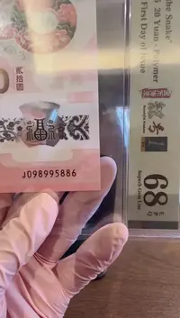 塑料2025蛇钞单张啊啊啊啊