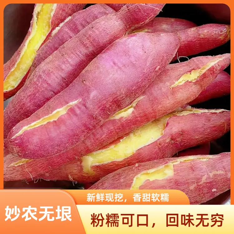 陕西正宗新鲜板栗薯现挖健康粗粮