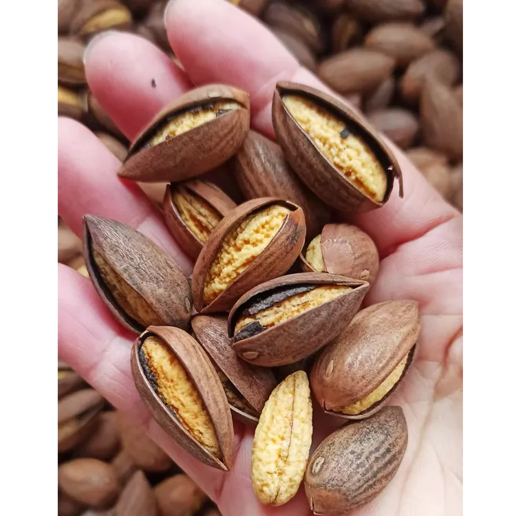 新货开口香榧诸暨枫桥特产坚果美味好端炒货零食