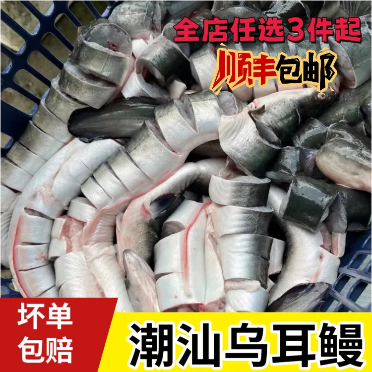 潮汕本港乌耳鳗乌耳朵鳗鱼肥美海鳗新鲜活杀速冻大黑鳗帮切片 