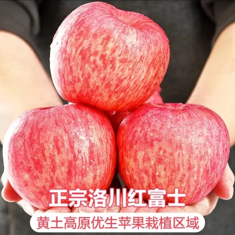 【与晖同行】陕西延安洛川苹果5斤整箱新鲜红富士苹果应季水果脆甜