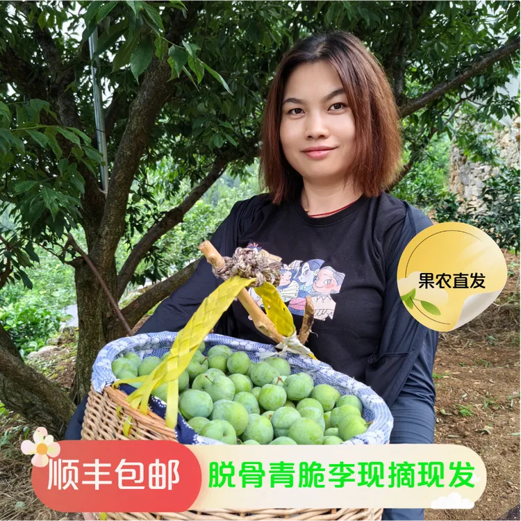巫山脆李曲尺核心产区新鲜现摘脆甜脱骨青脆李顺丰包邮坏果包赔