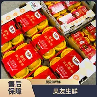 【都乐脆柿子】整箱带箱13斤左右 24颗装 太原晋中吕梁忻州拍