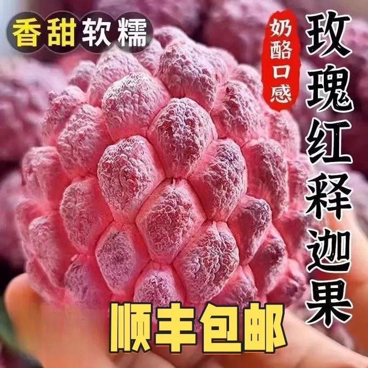 海南玫瑰释迦果当季孕妇水果现摘现发新鲜释迦果精品释迦高端水果