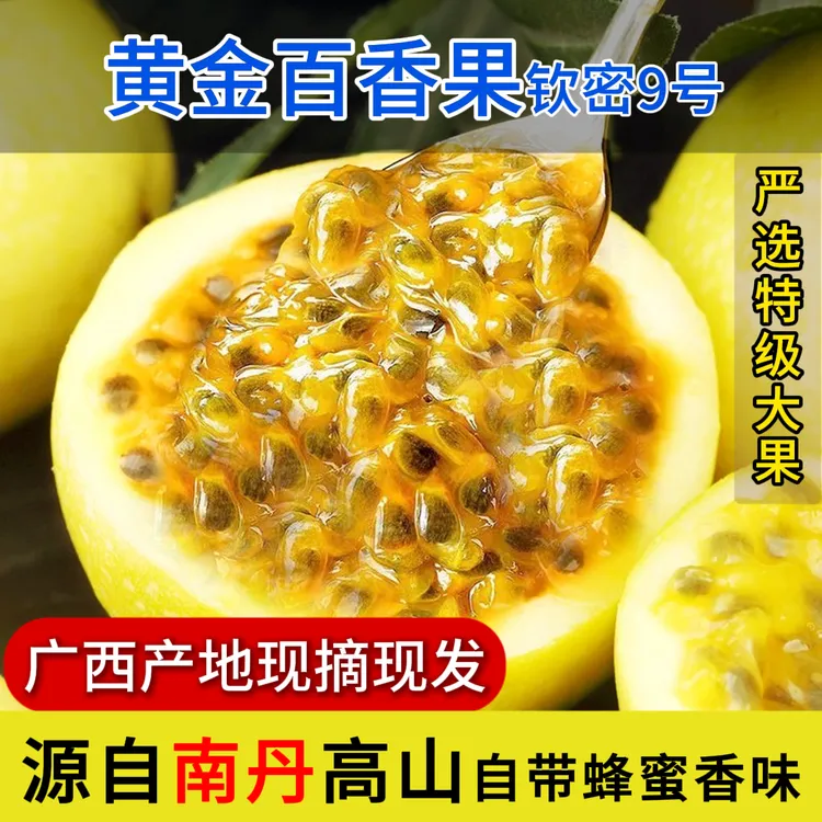 广西南丹高山钦蜜9号黄金百香果现摘现发新鲜当季水果鲜甜多汁