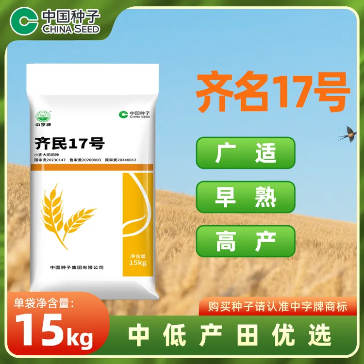 中国种子齐民17号小麦种15kg/袋 优质早熟高产千粒重高抗倒好