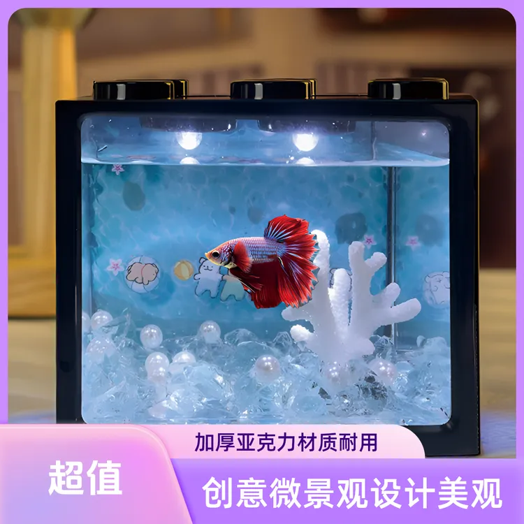 生态鱼缸家用观赏微景观桌面造景斗鱼小型茶桌亚克力积木盒淡水鱼