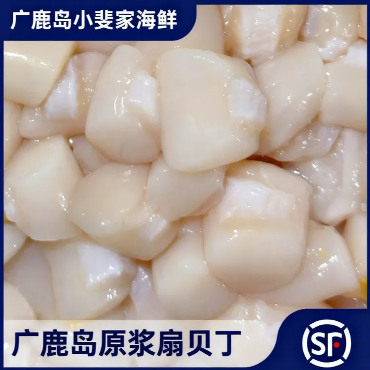 广鹿岛原浆扇贝丁大号80粒左右/斤 新鲜品质原产地直发速冻保鲜发