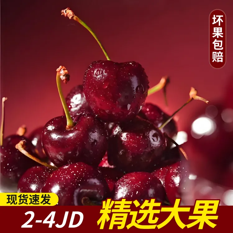 智利海运桑提娜2-4JD车厘子内附果径卡