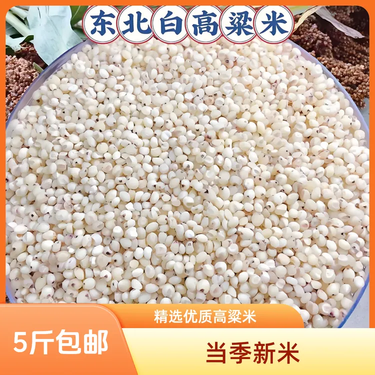 【5斤包邮】东北新白高粱米健康粗粮高粱米水饭