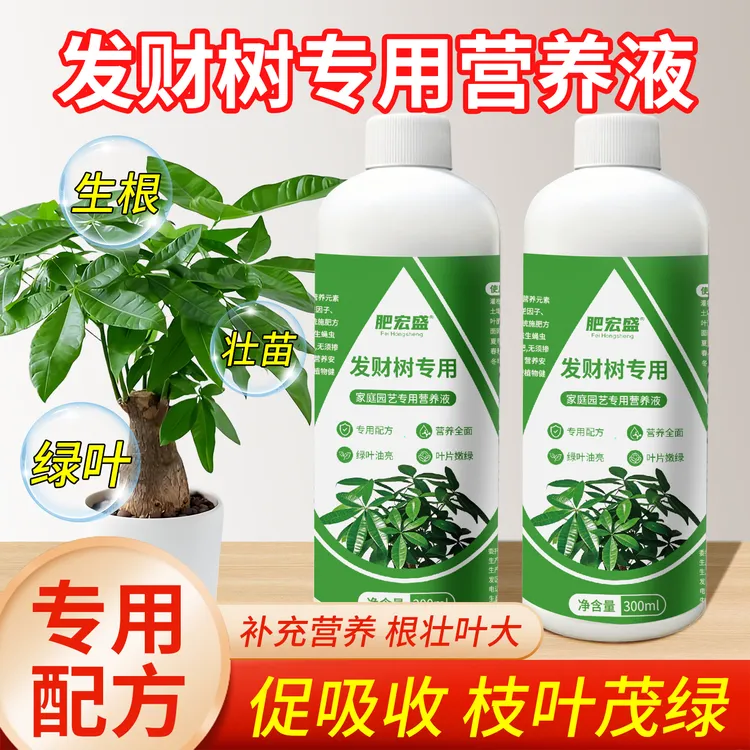 发财树专用营养液促进水培生长生根防治烂根提供植物所需囤货保价