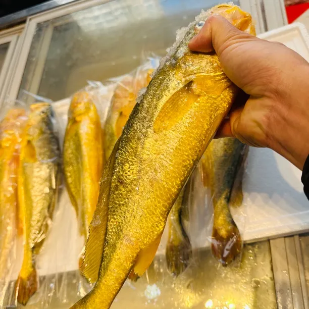 宁德正宗深海大黄鱼，凌晨捕捞发货顺丰包邮，一箱6条6斤装水产海鲜