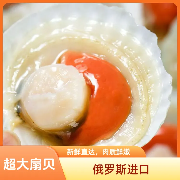 俄罗斯进口超大半壳冷冻虾夷扇贝新鲜饱满适合蒜蓉粉丝烧烤包邮