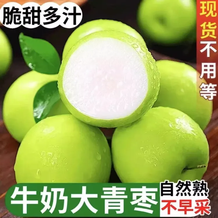 【商超品质】大青枣牛奶枣贵妃牛奶蜜枣新鲜应季水果冬枣子脆甜多汁