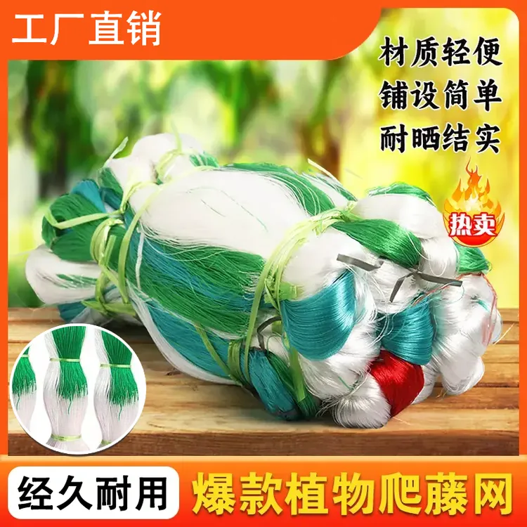 园艺爬藤网 农业种植爬藤架 藤类花草山药网豆角网黄瓜种植支架网