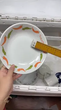 【闪购商品】568回流瓷器默认微瑕，18.8包邮