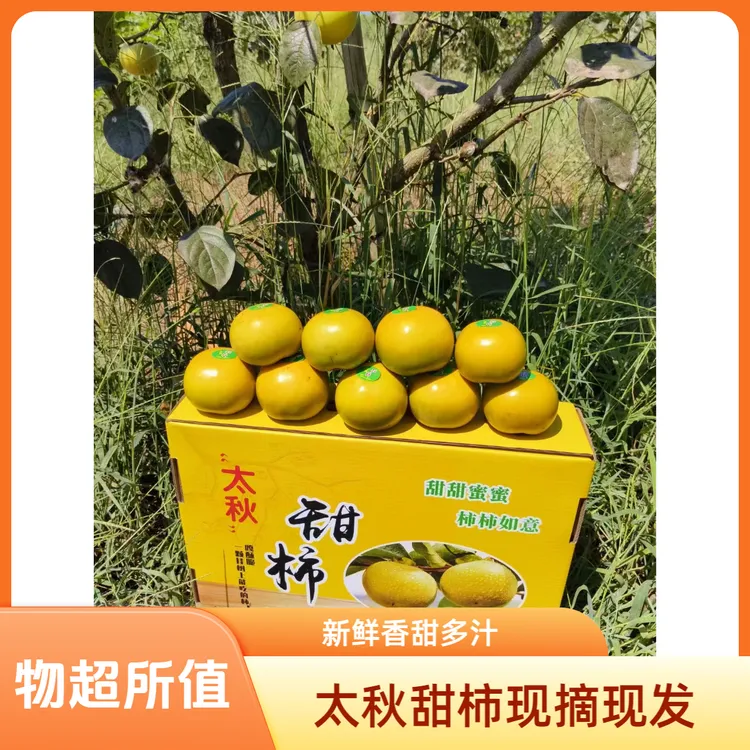 农家自种正宗太秋甜柿自然生长略带花皮不影响口感脆甜爽口