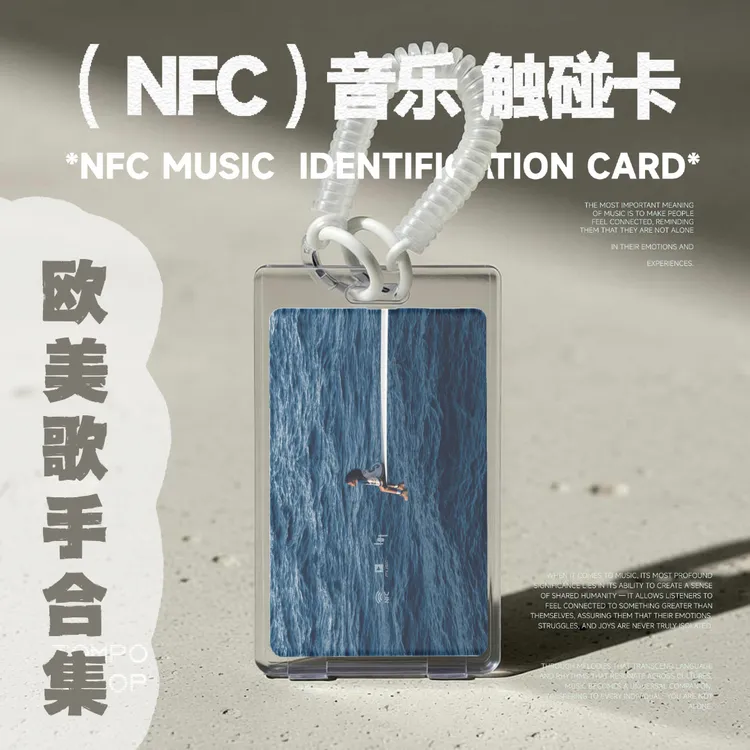 欧美歌手/明星周边/音乐卡/包挂/小众/小卡/NFC音乐定制挂件/挂饰