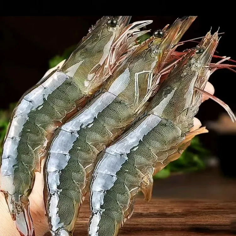 【香香厨娘】新鲜海捕大虾2030规格 净重三斤顺丰包邮 连云港发货