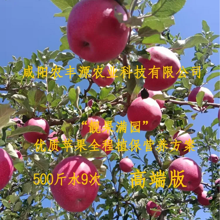 "靓果满园"优质苹果全程植保营养方案500斤9次高端版