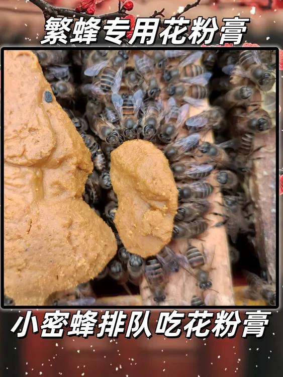 繁蜂专用花粉膏【中蜂 意蜂专用】