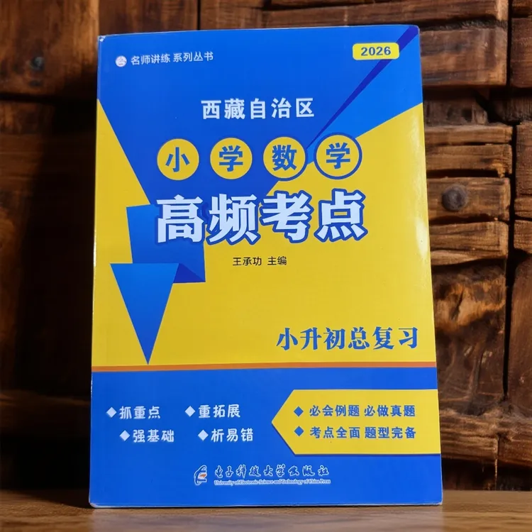 2026西藏自治区小升初总复习高频考点 （数学）