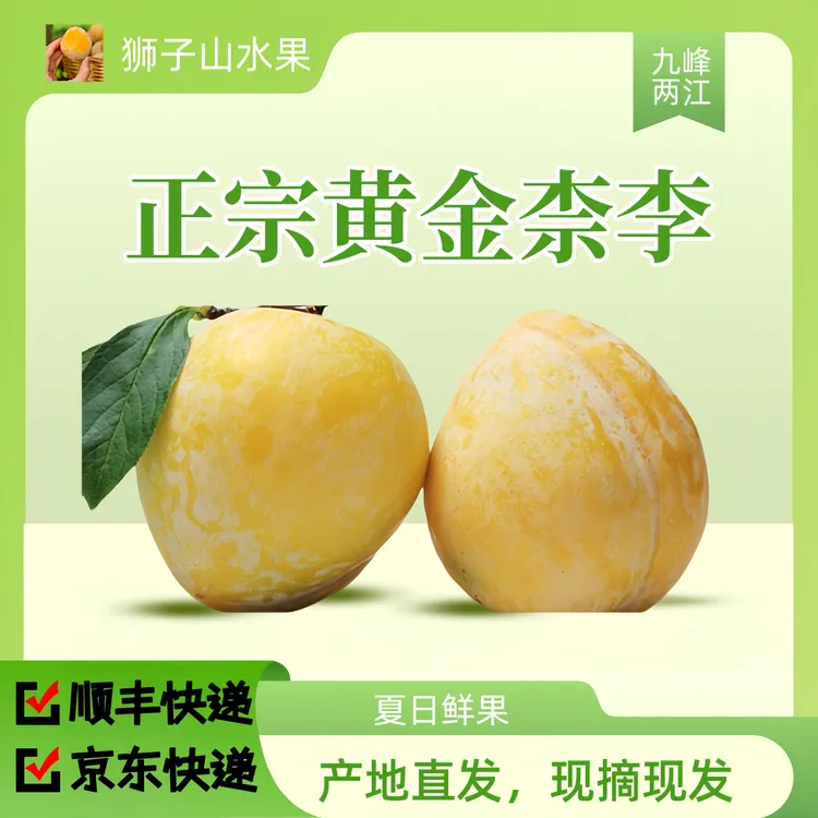 正宗粤北乐昌九峰黄金柰李恐龙蛋水果现摘现发2斤-3斤-5斤-10斤装