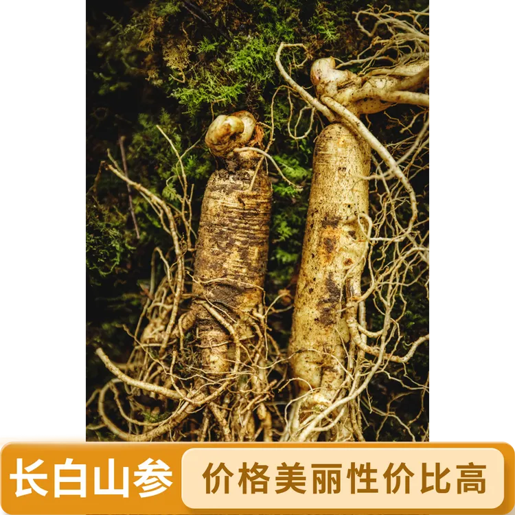 长白山新鲜可泡酒煲汤产地直发6支一斤